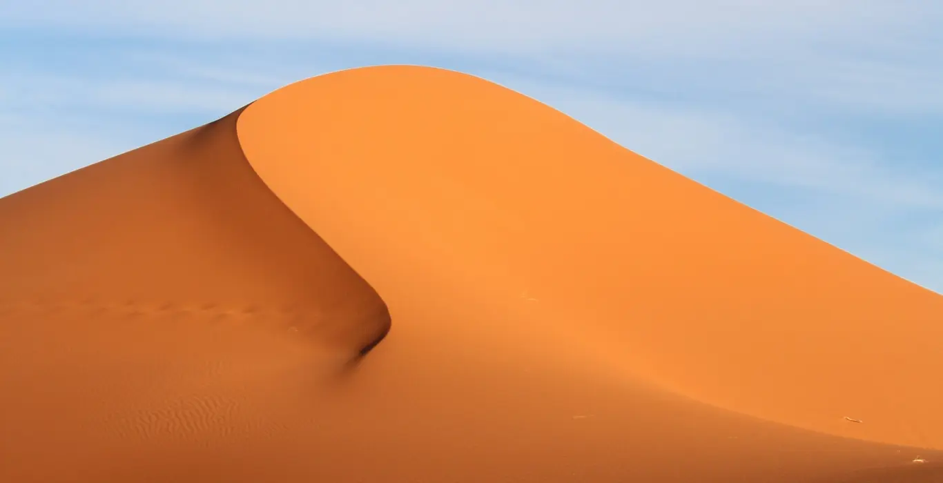 fernando-paredes-murillo-Xc6gtOwSMSA-unsplash-cropped