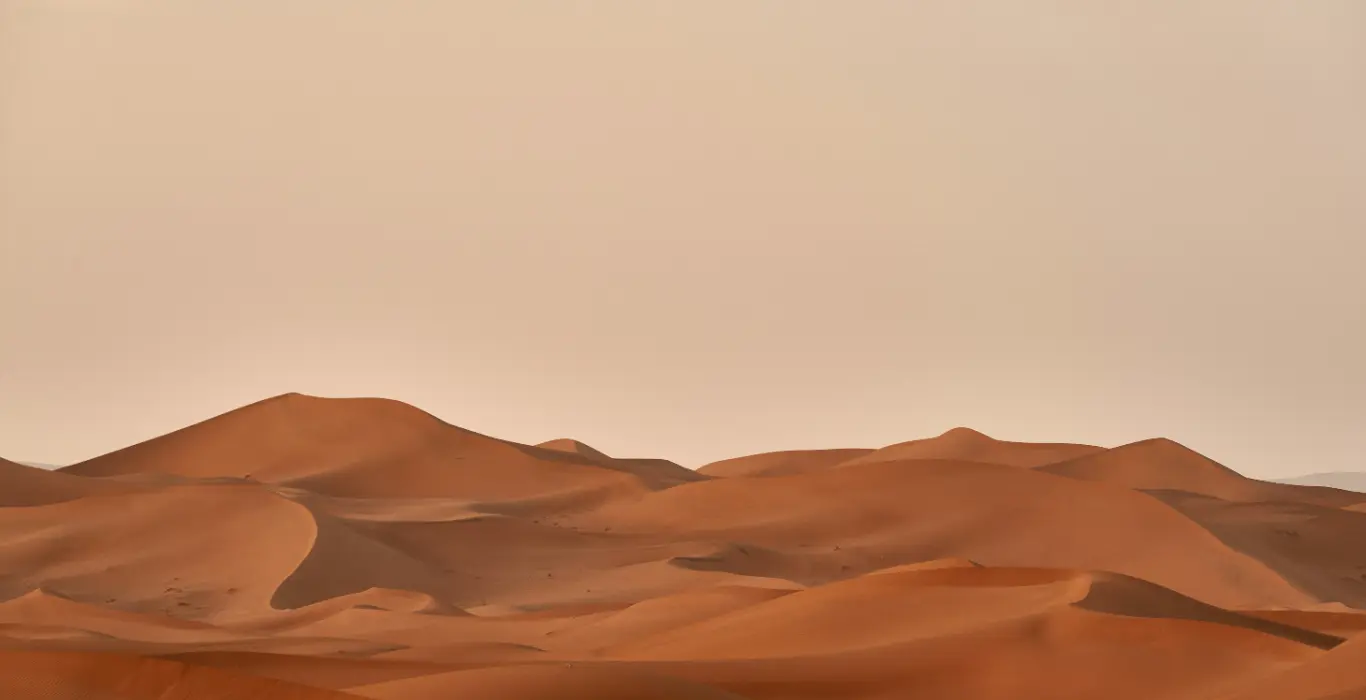 wolfgang-hasselmann-pVr6wvUneMk-unsplash-cropped