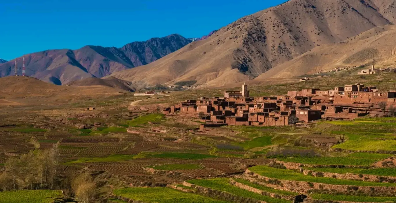 1739185831203-1-cropped