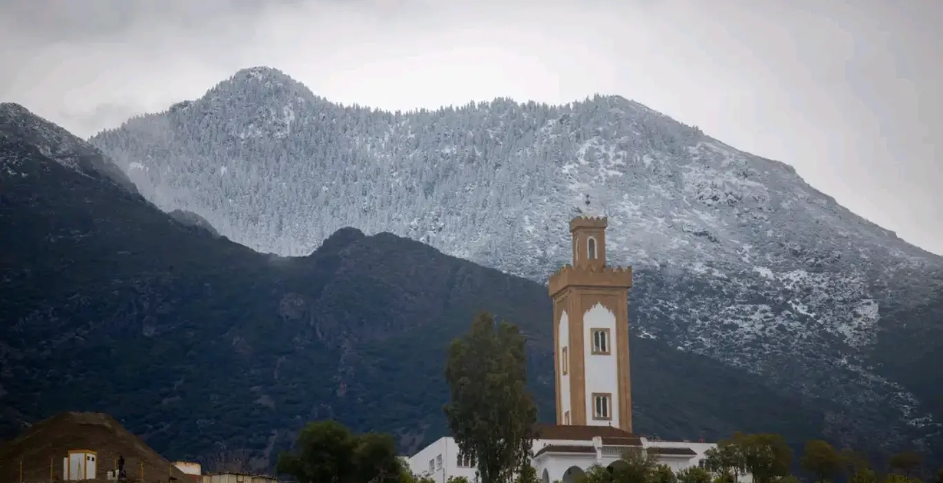 1739192414599-1-cropped