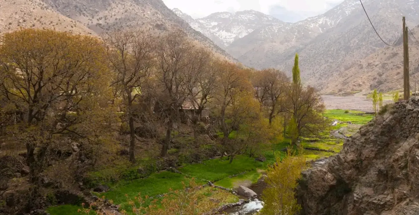 1739215659622-1-cropped