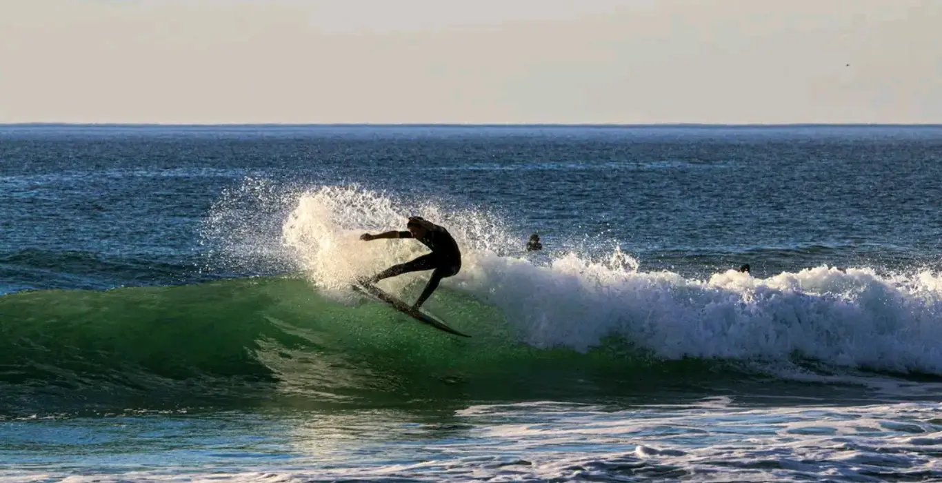 1741458003020-1-cropped