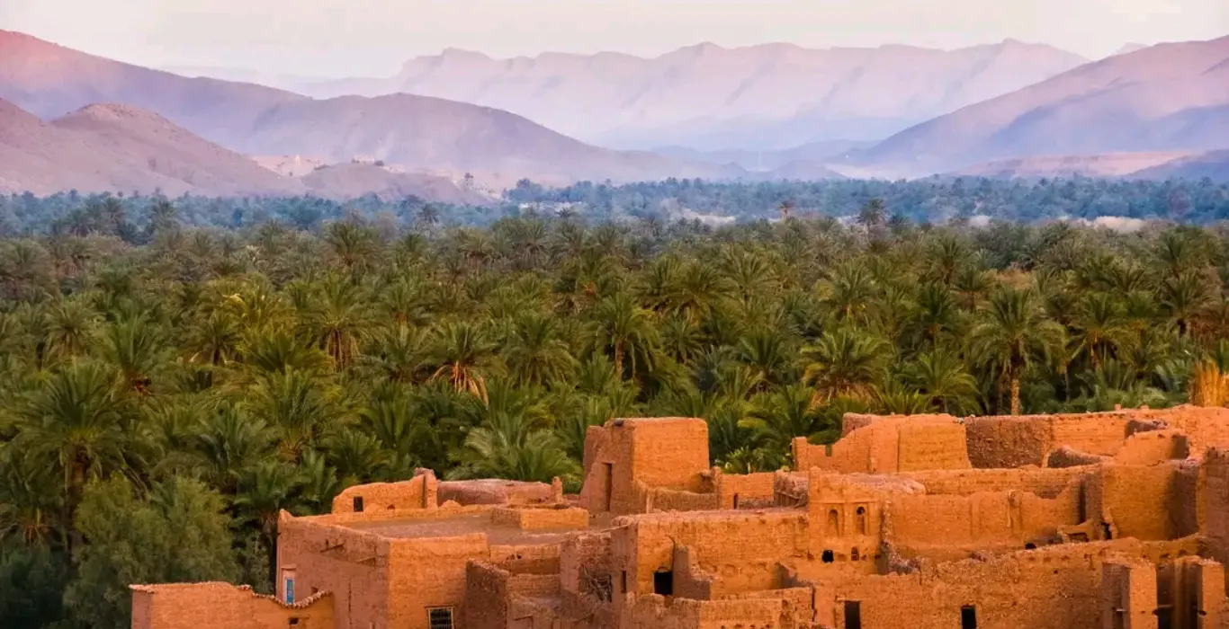 1741527097421-cropped