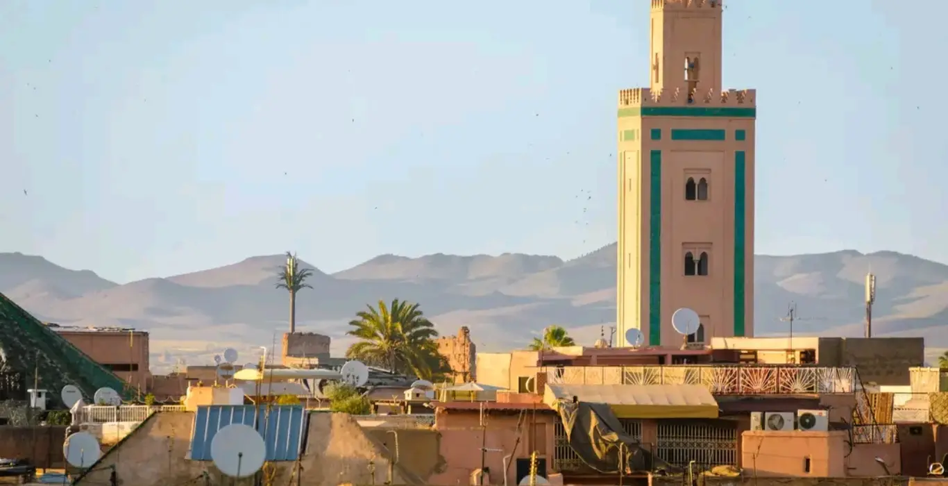 1741557322778-1-cropped