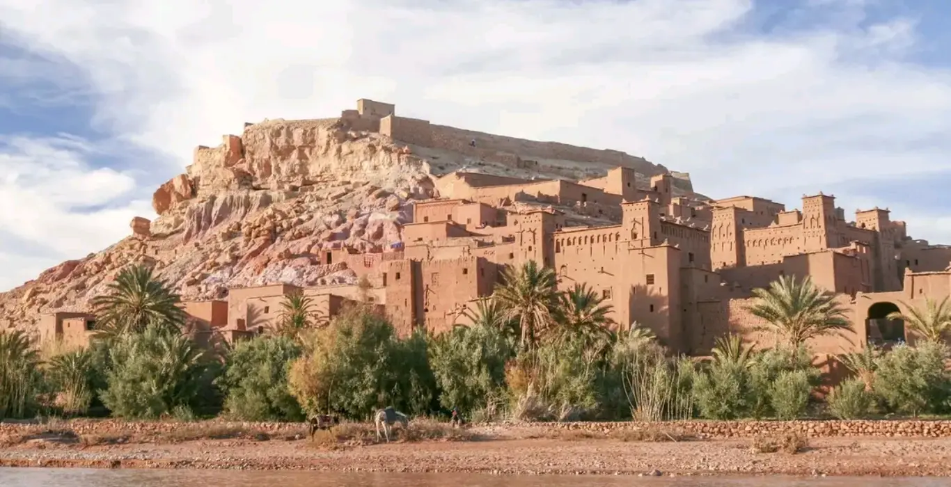 1741557598626-cropped