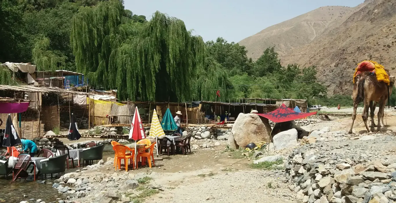 abderrahman-kamal-MilM52Qj32g-unsplash-cropped