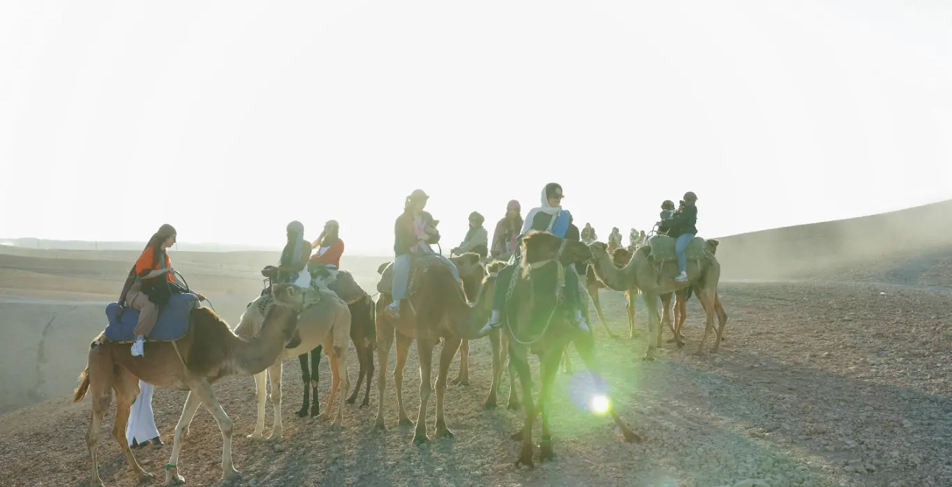 aiden-qCZ--BbQiPo-unsplash-cropped