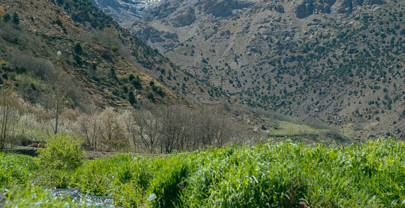 alpha-plus-l09G6qx851k-unsplash-cropped