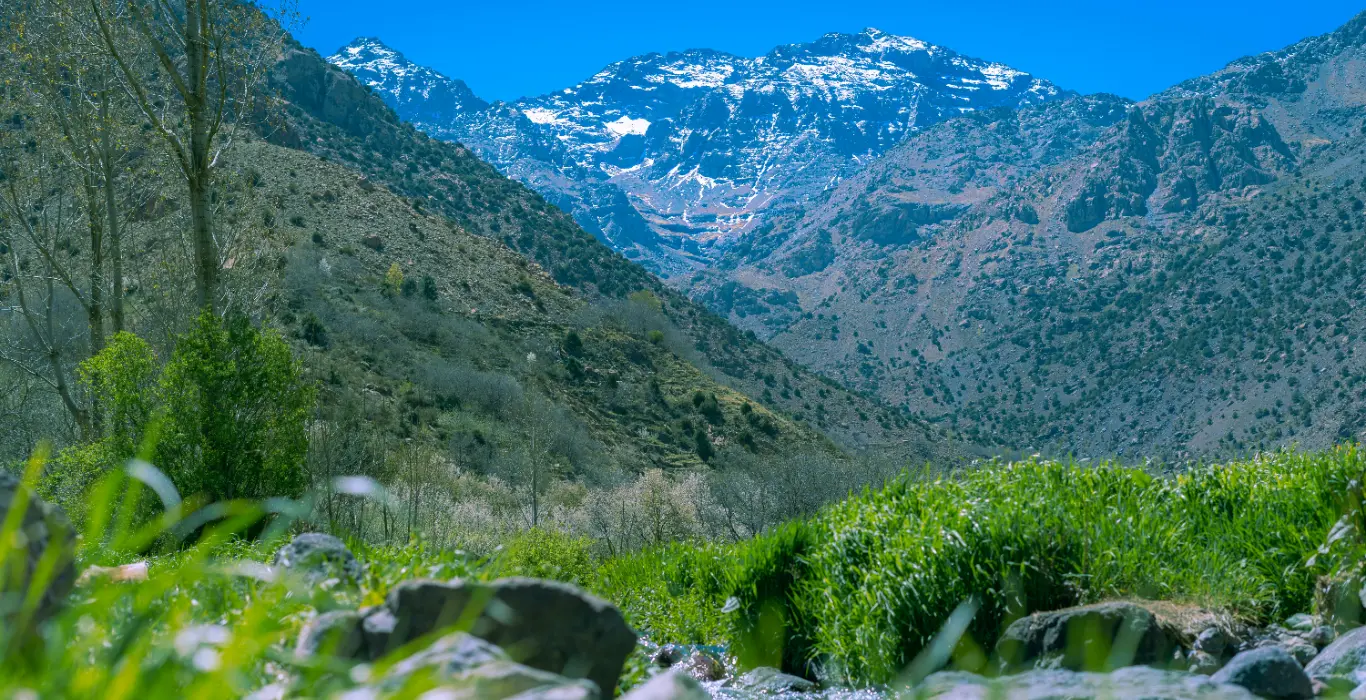 alpha-plus-wmwnqKDZHfo-unsplash-cropped