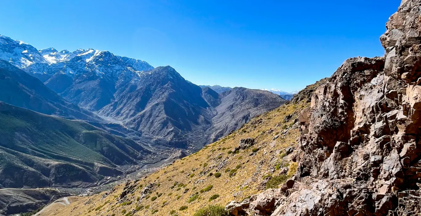 anastasiia-malai-AoyDyzLT1Ew-unsplash-cropped