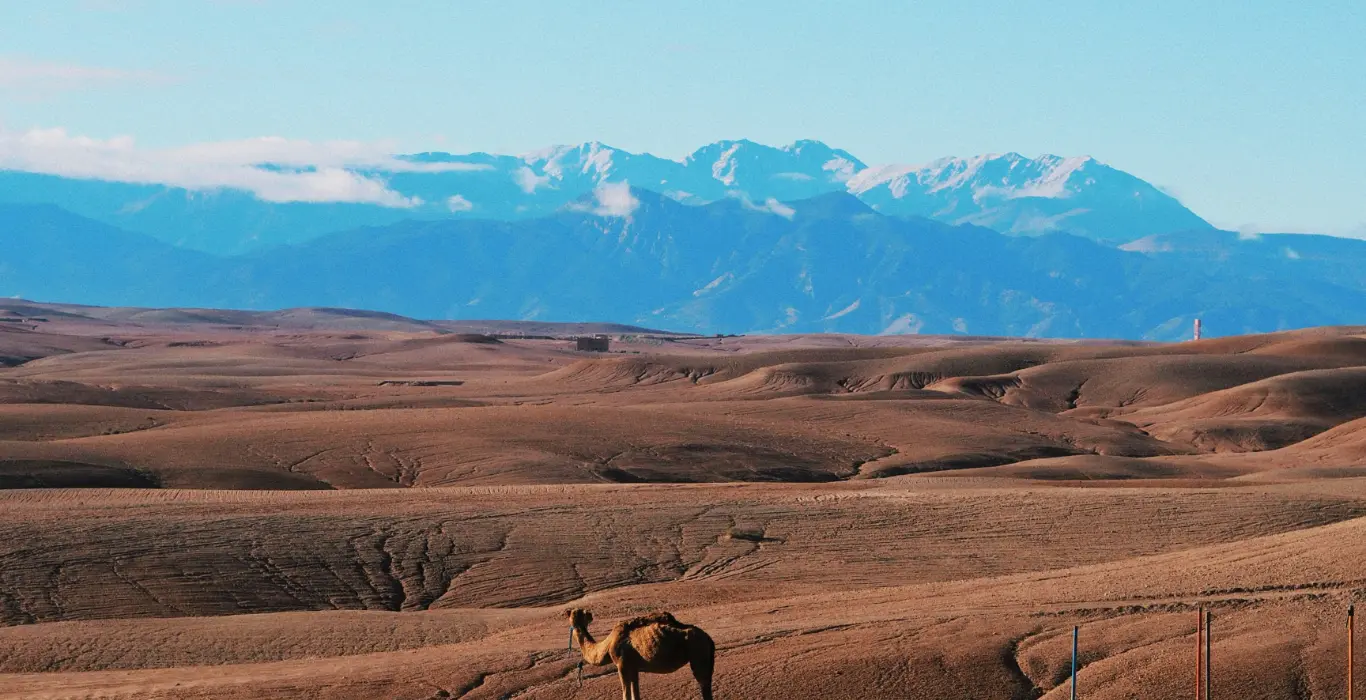 chloe-lefleur-_7BVOQAcmMg-unsplash-cropped