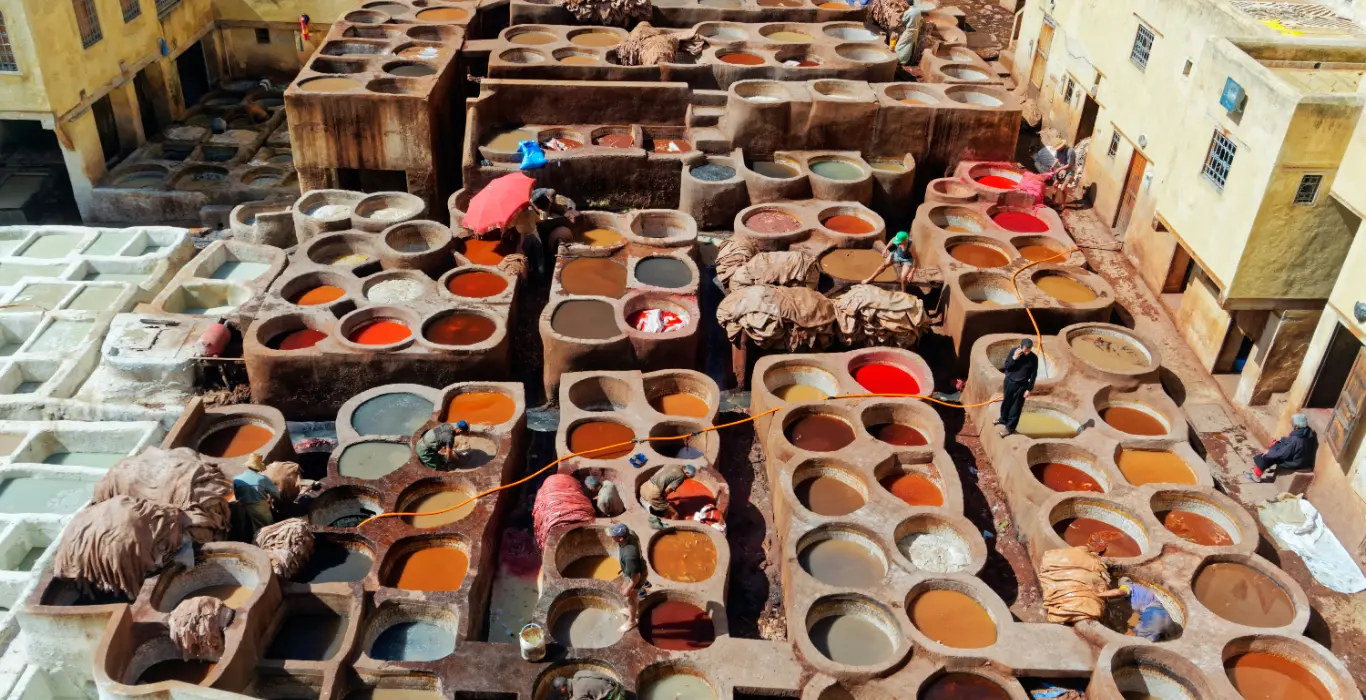 fotografu-vCUXhYzADgY-unsplash-cropped