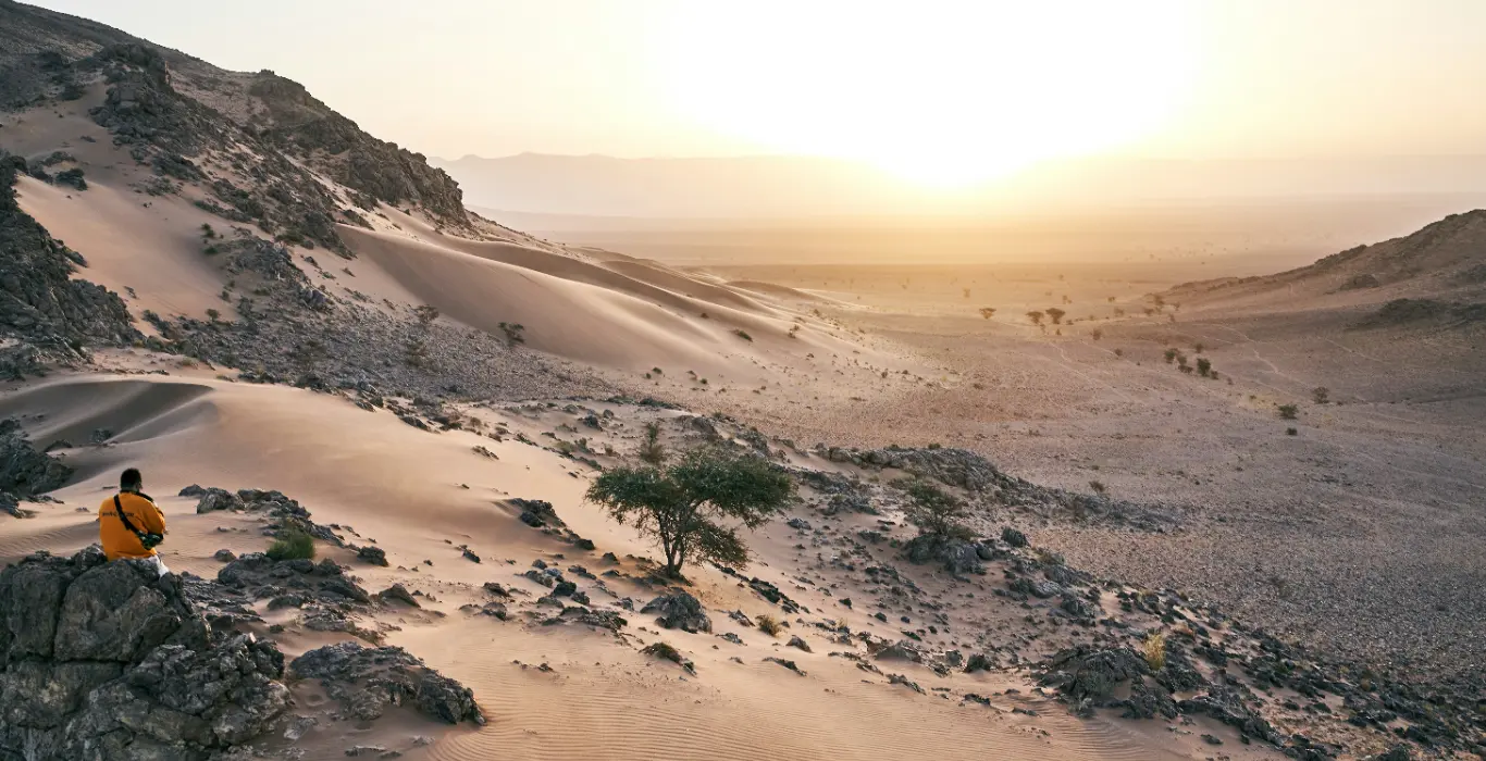 gabriele-stravinskaite--mKpYC4RacA-unsplash-cropped