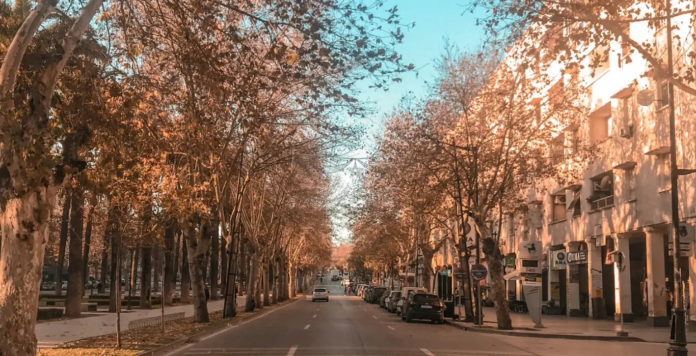 hamza-nouasria-WJD8XJGyPQ4-unsplash-cropped