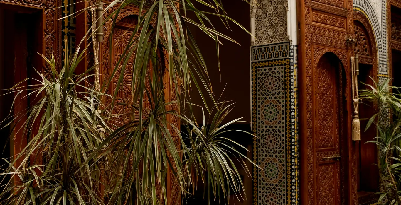 hazy-momo-YSTtLgsvRa8-unsplash-cropped