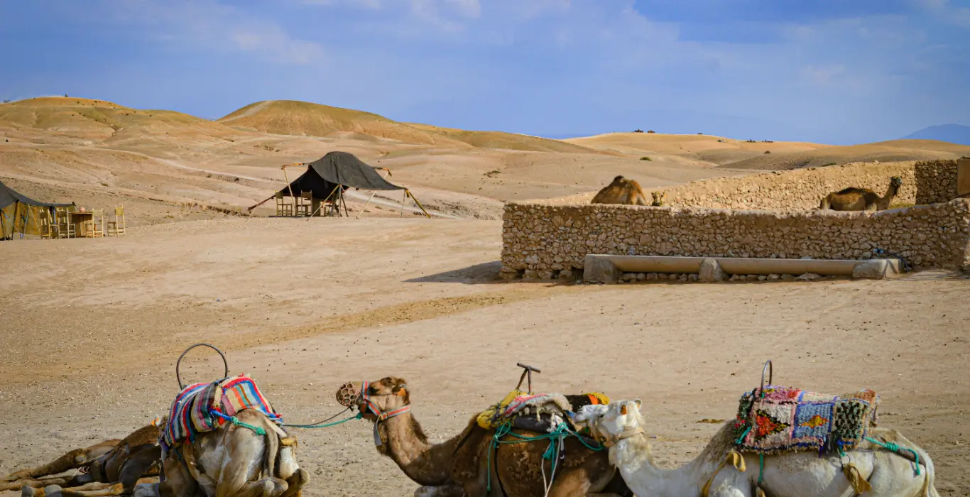 ifeoluwa-b-U_SG5fO-ivs-unsplash-cropped