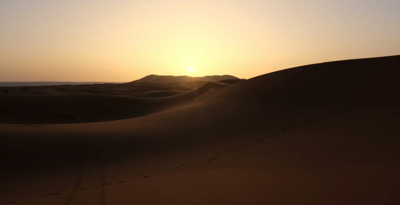 inbal-malca-kKhXyh4Ch74-unsplash-cropped