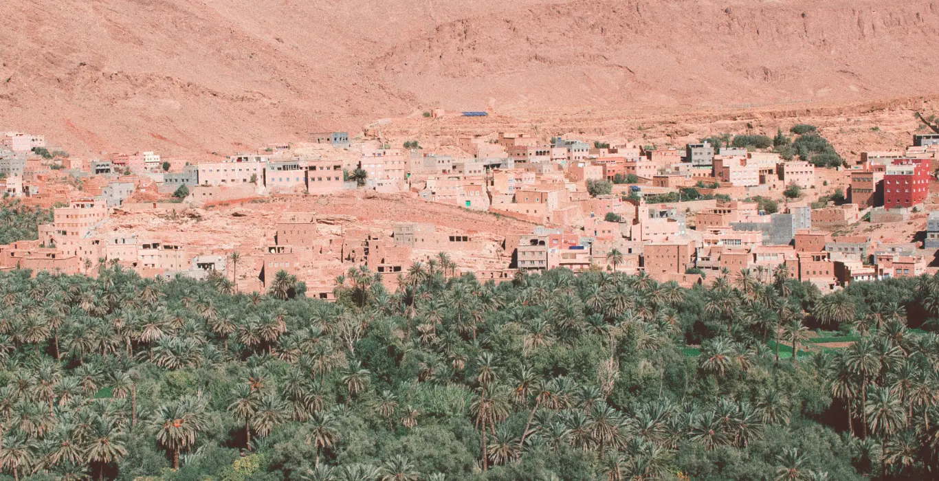 jewad-alnabi-hDJJM45D72A-unsplash-cropped