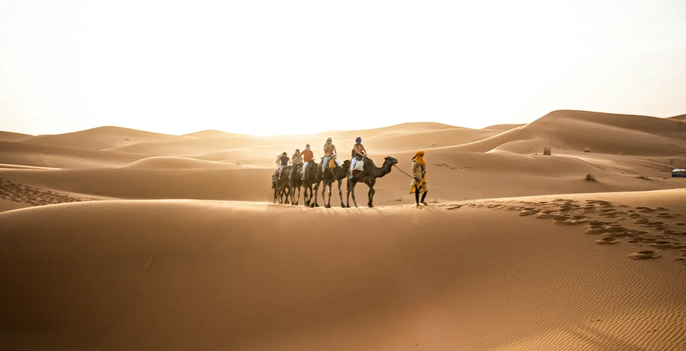 jonathan-ward-oXNUbXuEpbQ-unsplash-cropped