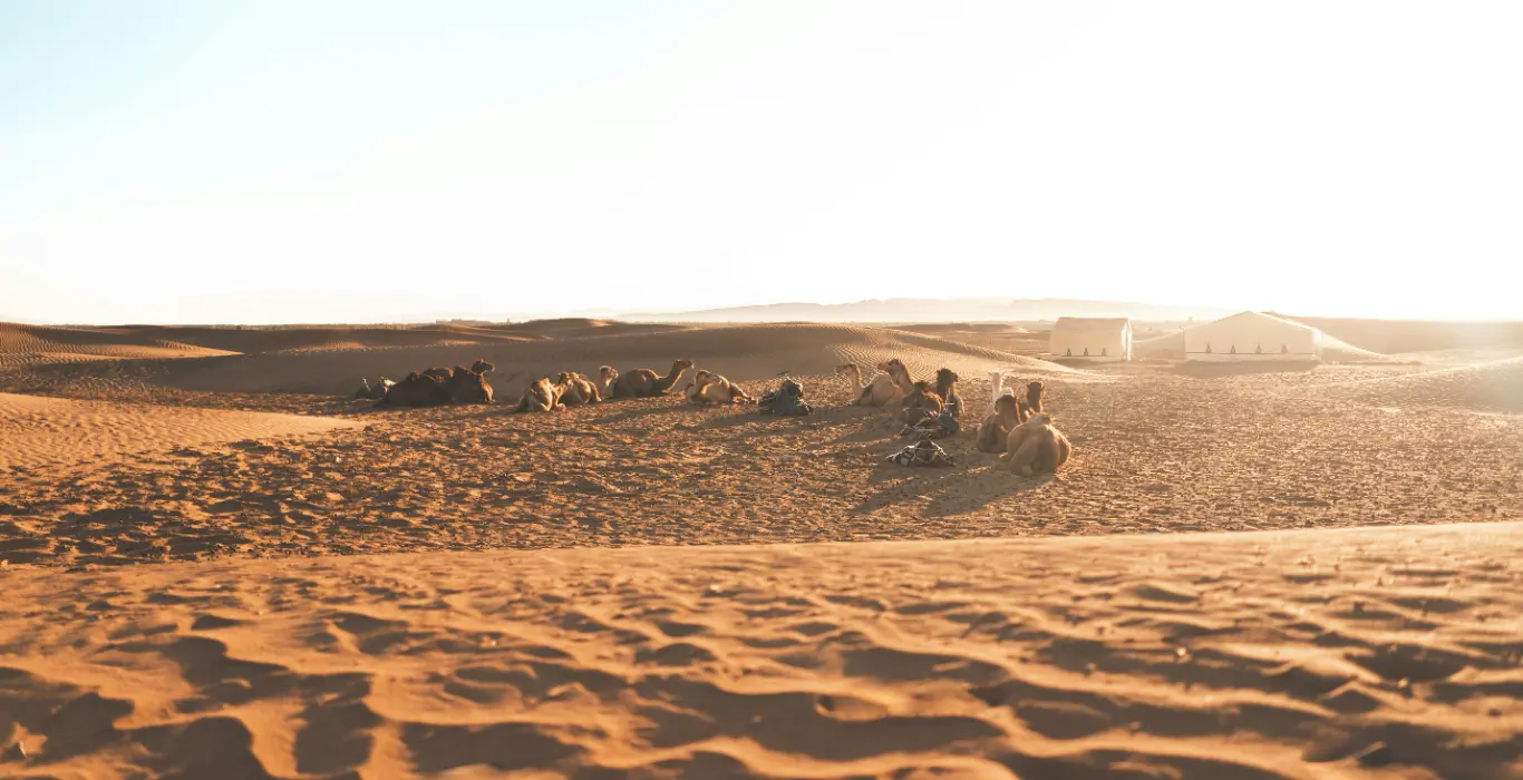 marvin-meyer-X0XRRXSVLU4-unsplash-cropped