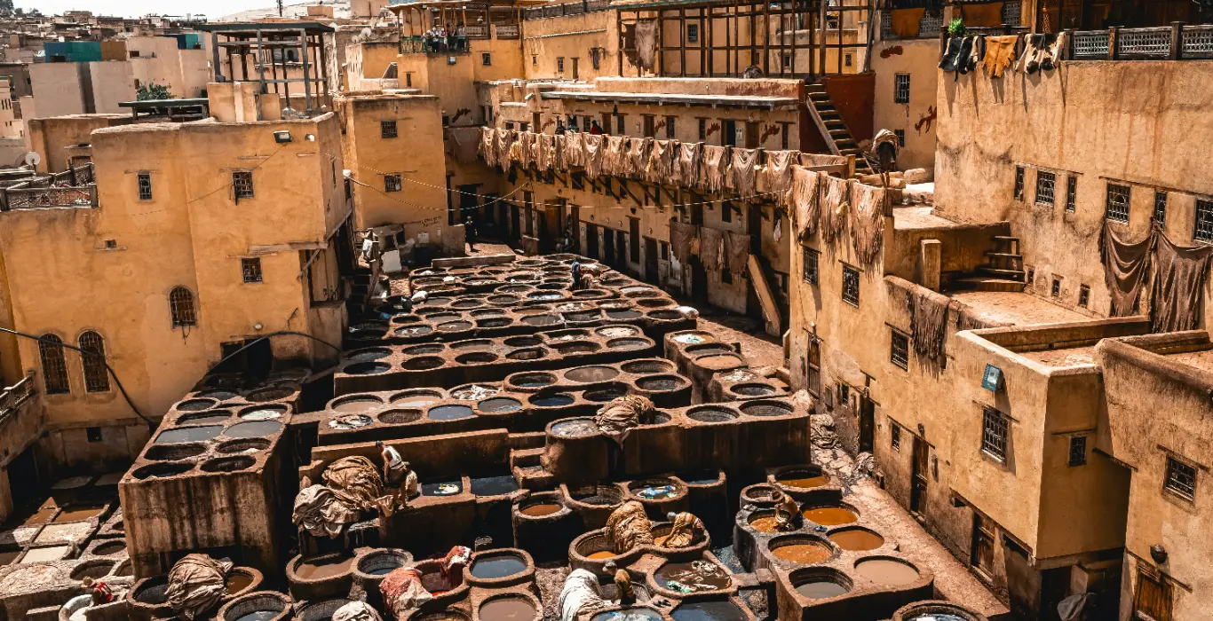 mauro-lima-buvA1ofvTMY-unsplash-cropped