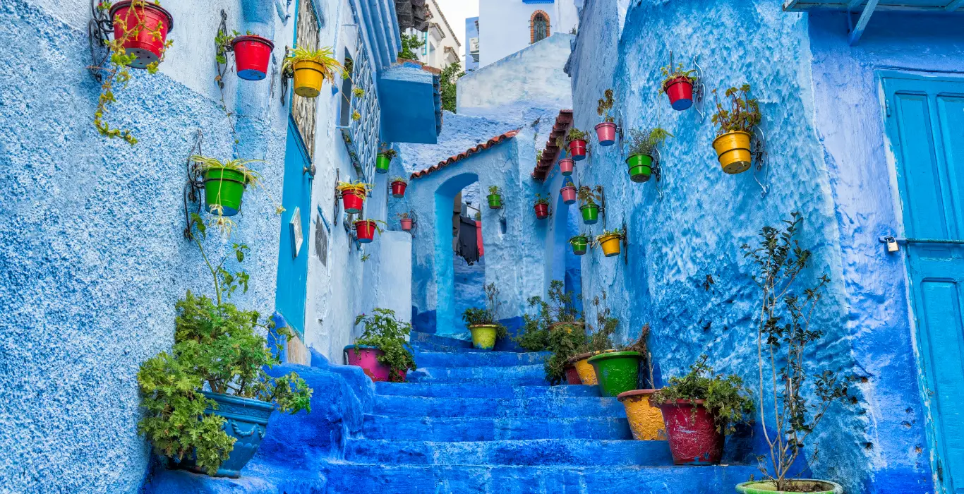 milad-alizadeh-JibMa0FbyHw-unsplash-cropped