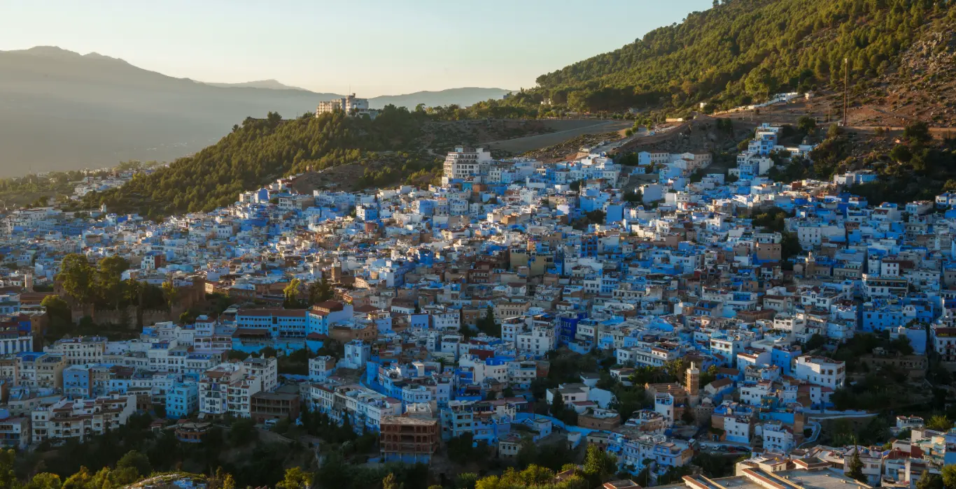 othman-alghanmi-hLguP2Saayo-unsplash-cropped