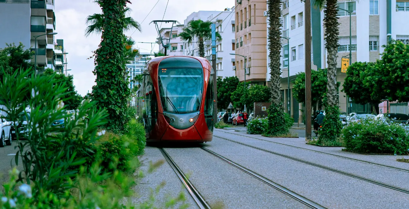 oussama-rahib-NNECQHl9bJc-unsplash-cropped