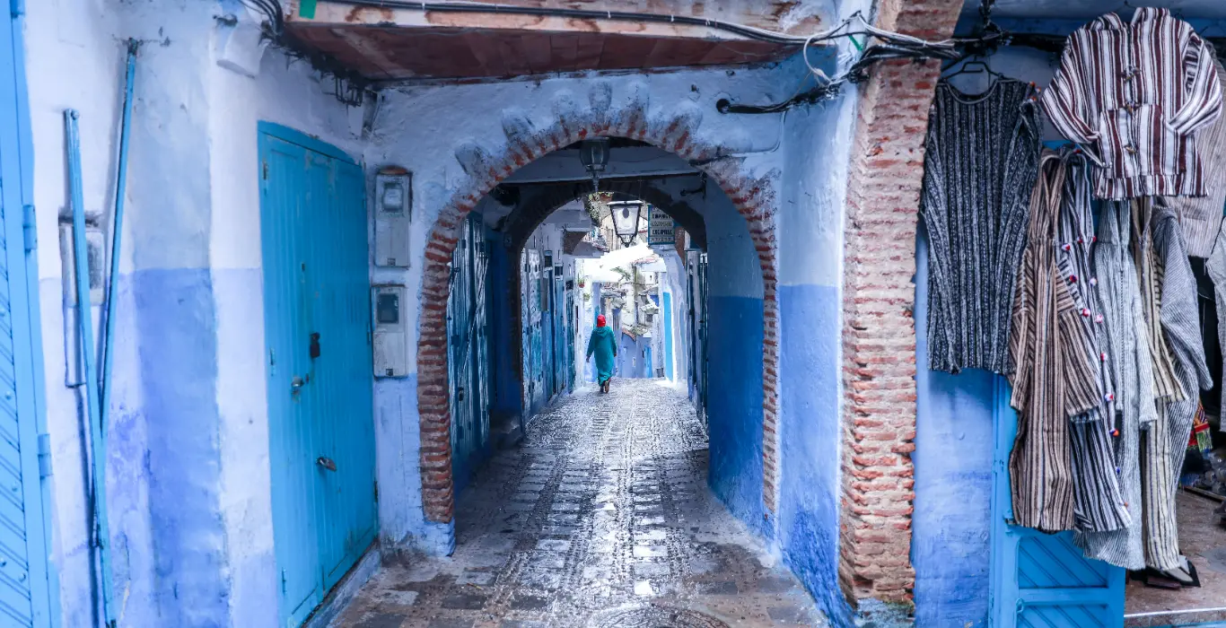 rigel-lLkktWW9oFg-unsplash-cropped