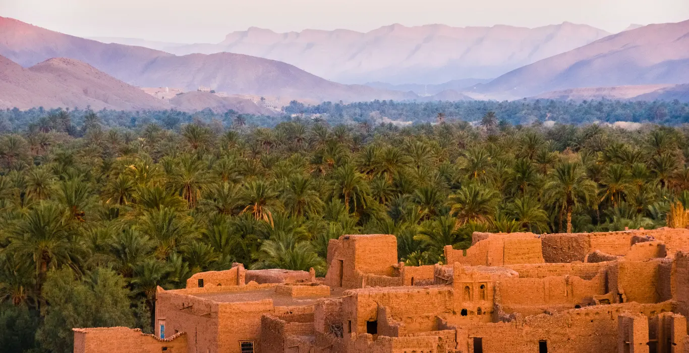 sergey-pesterev-i-P1lmY_e1w-unsplash-cropped