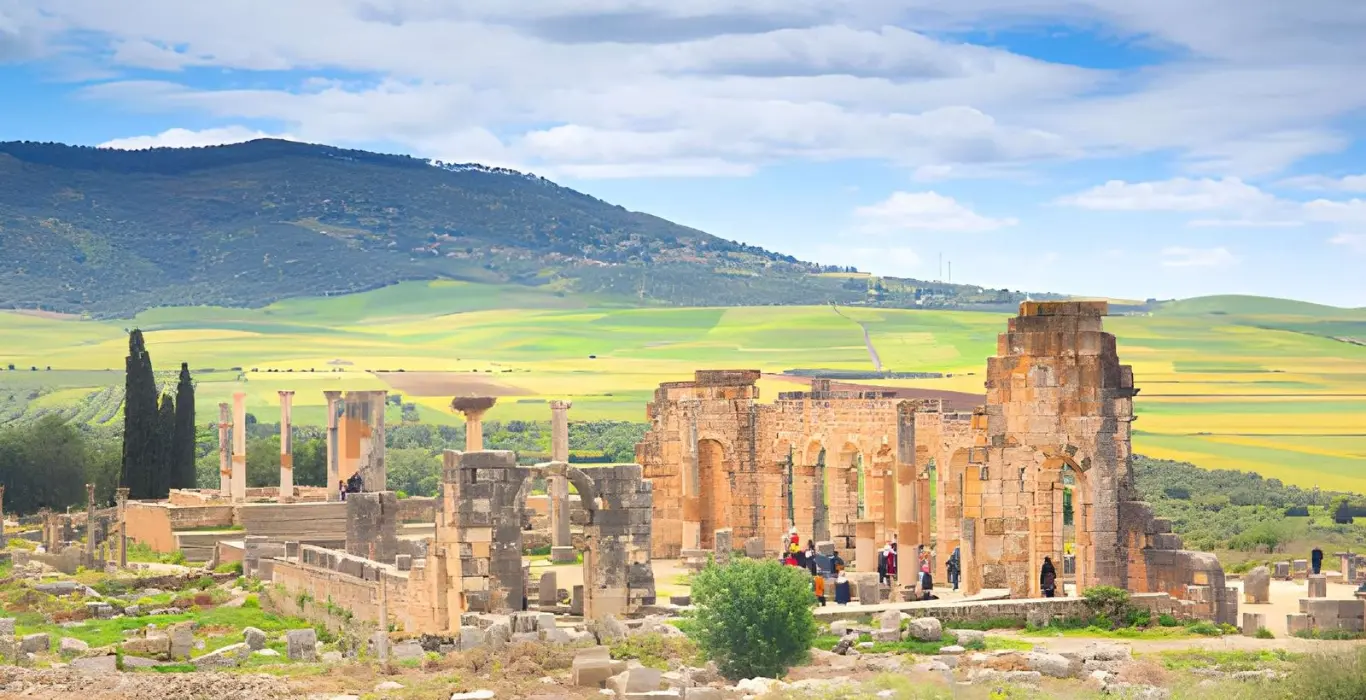 steptodown.com125810-cropped