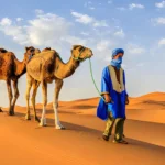 Merzouga: Gateway to the Sahara Desert