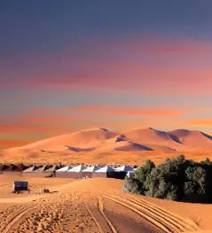 camp desert