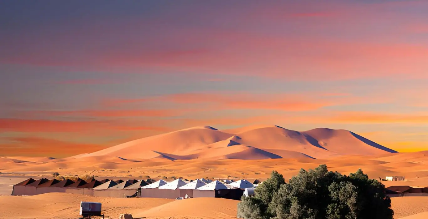 steptodown.com587493-cropped