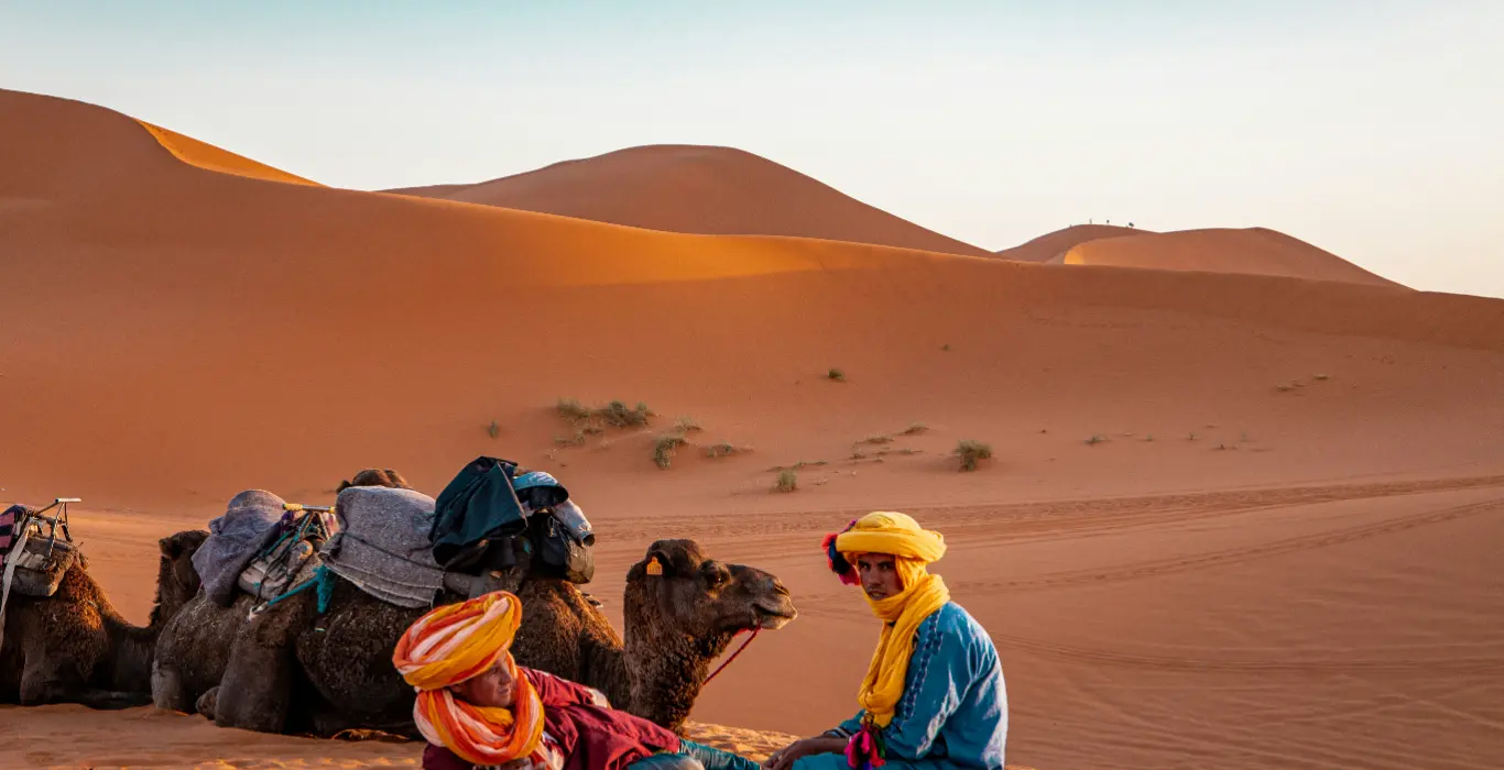 tatiana-zanon-VP2mjtJqWvY-unsplash-cropped