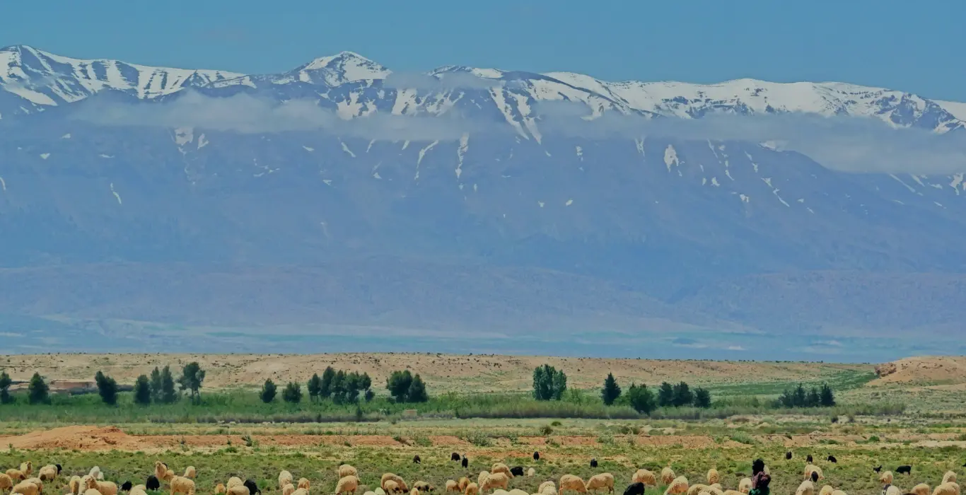 tienko-dima-4TmlOpKNJcE-unsplash-cropped