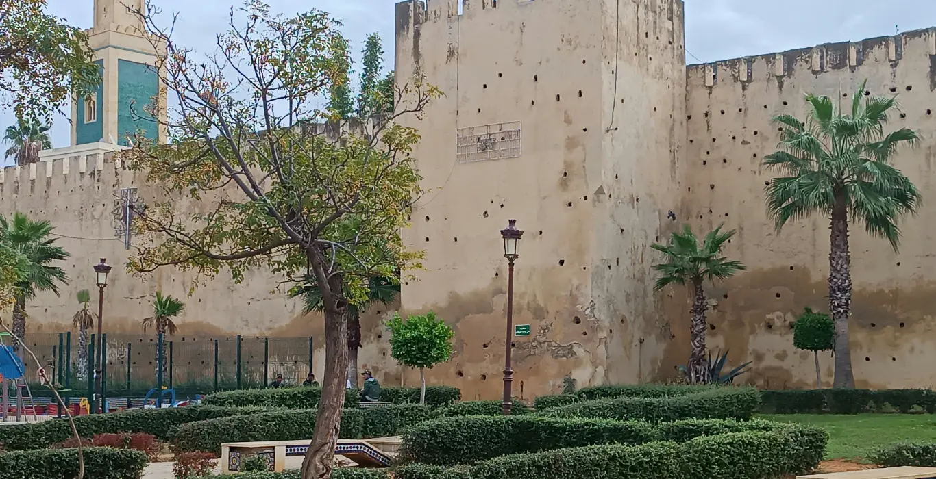 tomasz-anusiewicz-EK4gB5I6HWU-unsplash-cropped