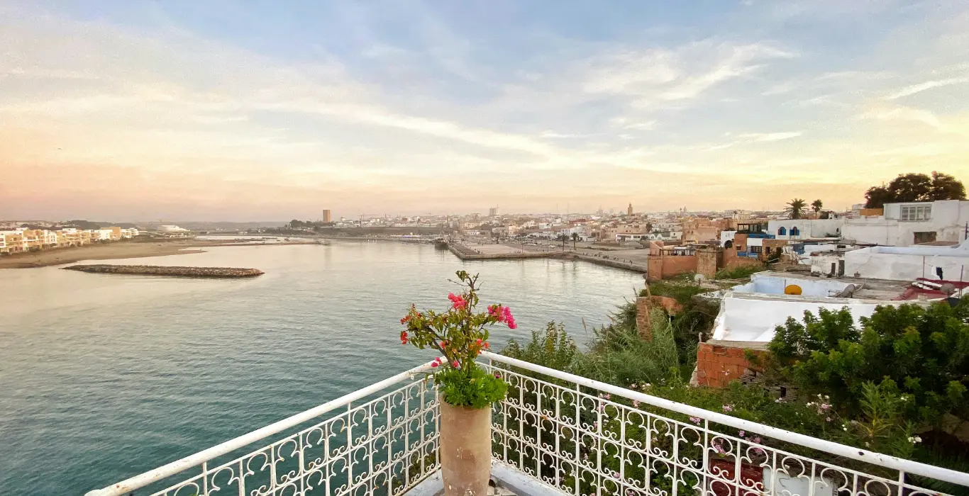 txema-marin-gMjsXKHk8Vw-unsplash-cropped