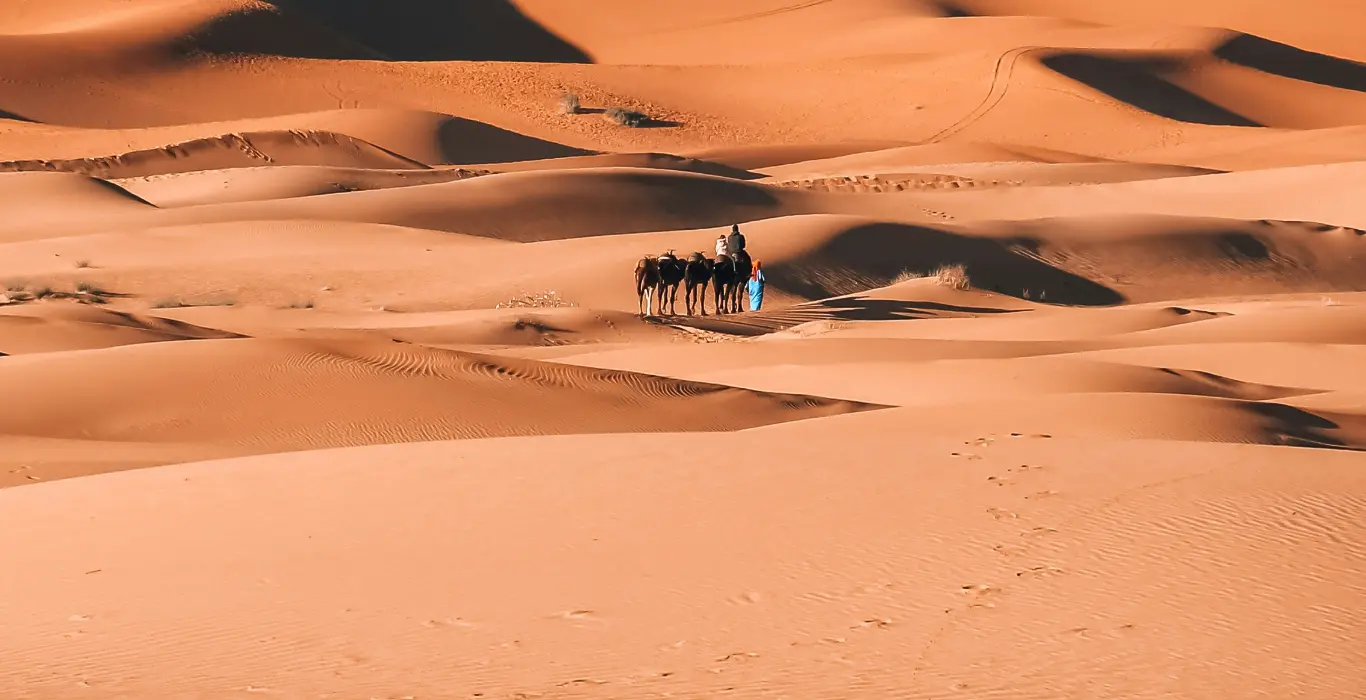 zakariae-daoui-iue7LMCMyDg-unsplash-cropped